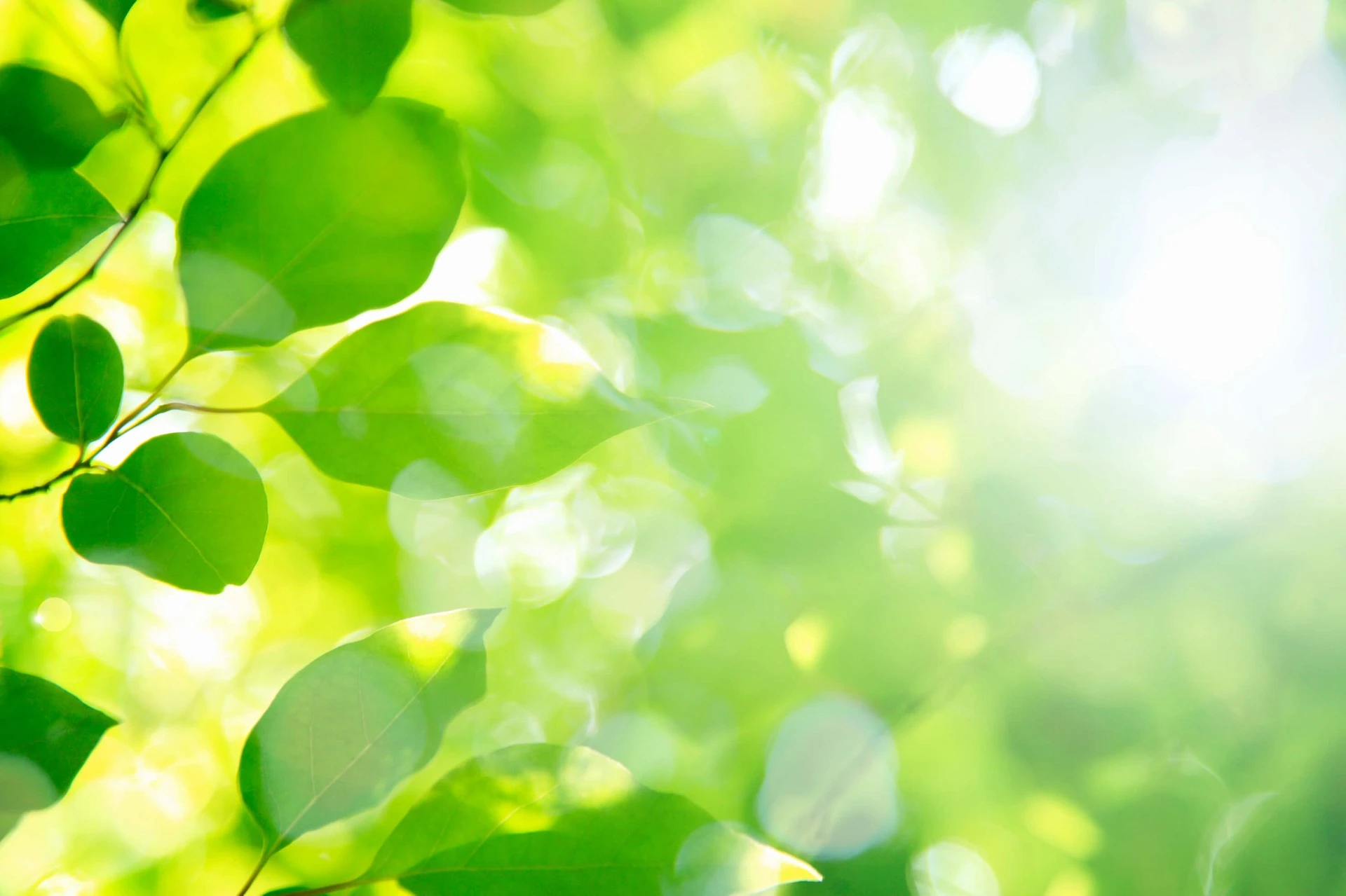 訪問介護の仕事内容について/訪問介護たいよう